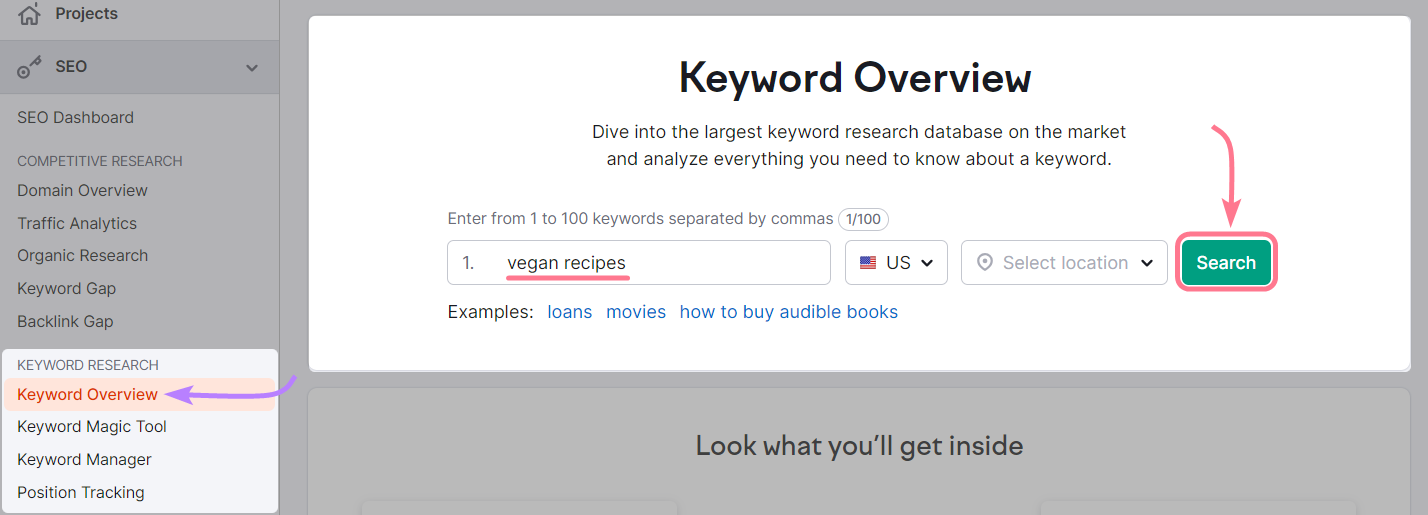 "vegan recipes" entered into the Keyword Overview search bar