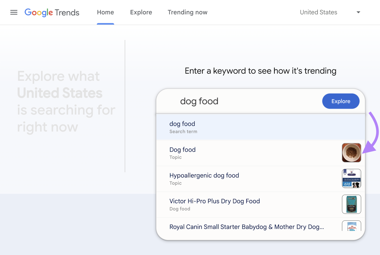 google trend search for dog food