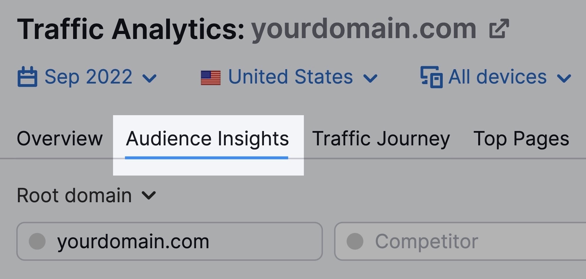 audience insights in traffic analytics