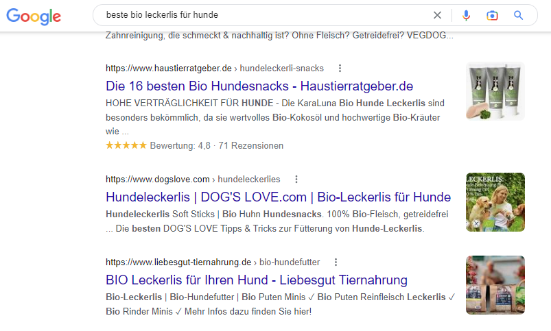 Google-Suchergebnis 'beste bio leckerlis für hunde'