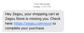 Zegsu Store's retargeting SMS, remaining the customer to complete the shopping chart