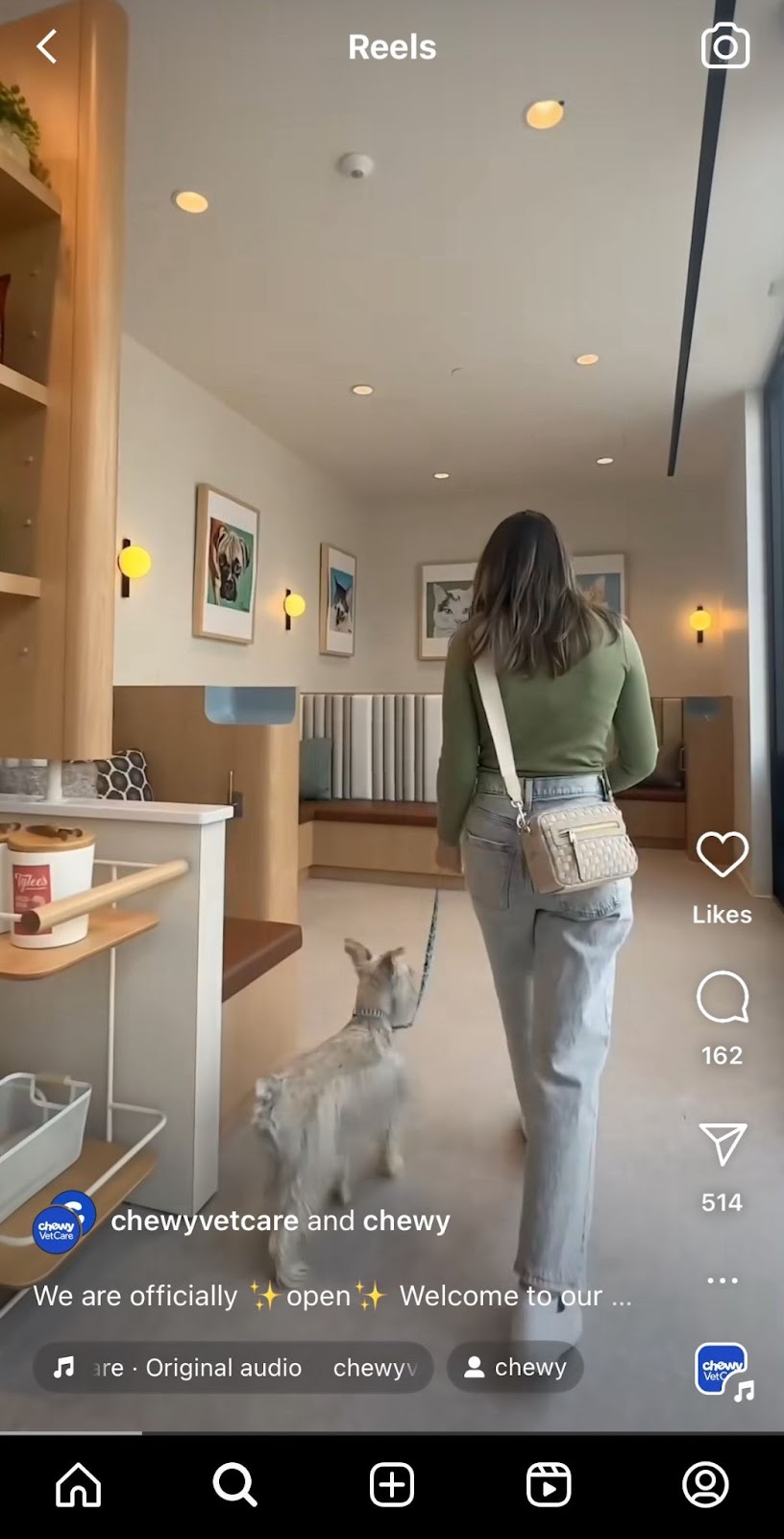 Instagram Reel from Chewy's business account.
