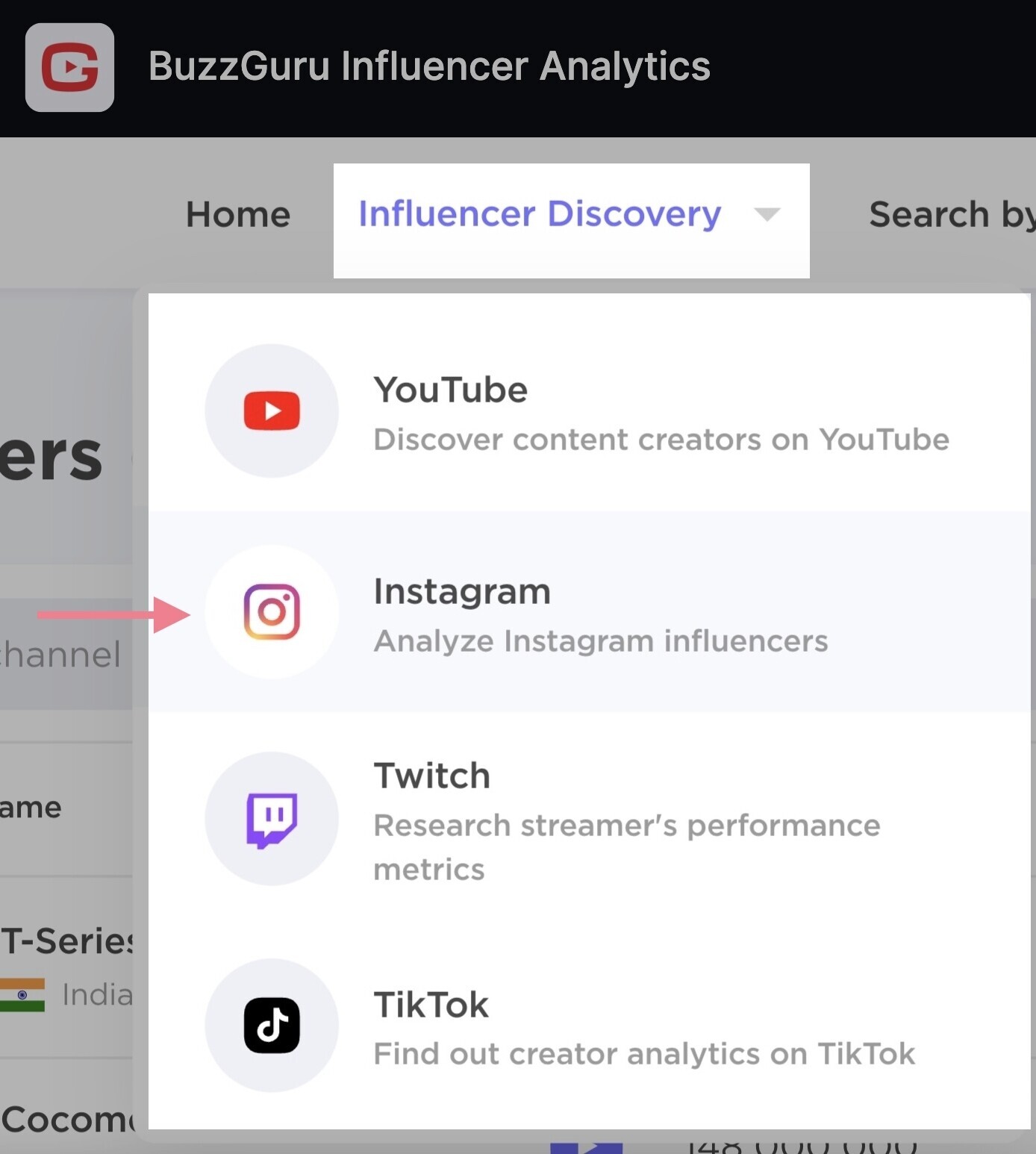 buzzguru influencer search