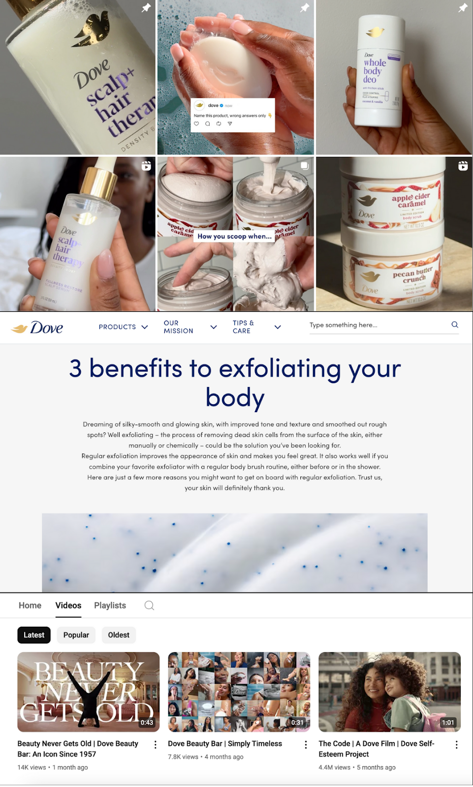 Dove's Instagram grid, blog post, and YouTube videos show their brand values and messaging.