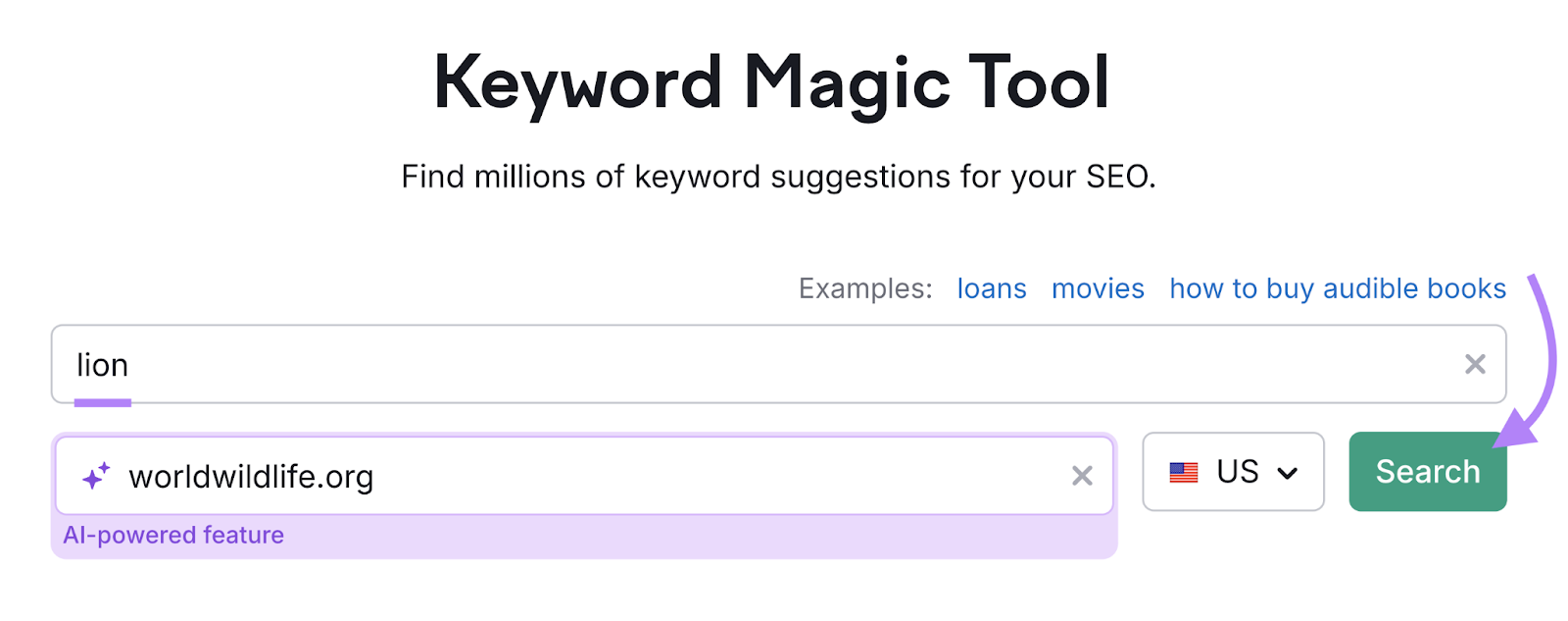 keyword and domain entered into tool