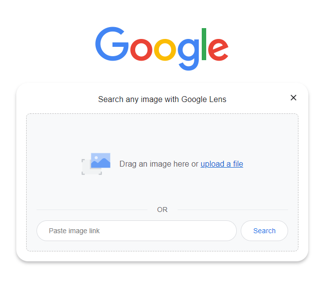 Google Visual Search