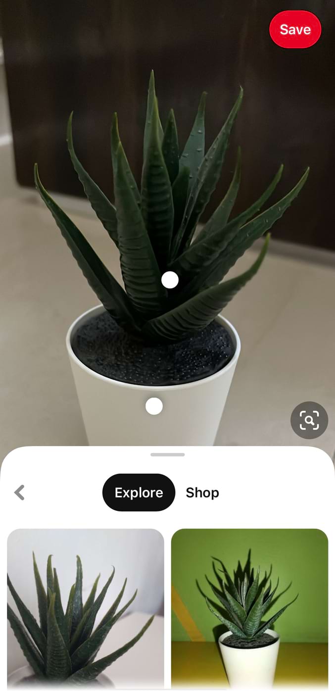 An representation  of a works  uploaded to Pinterest Lens, showing results successful  the "Explore" section
