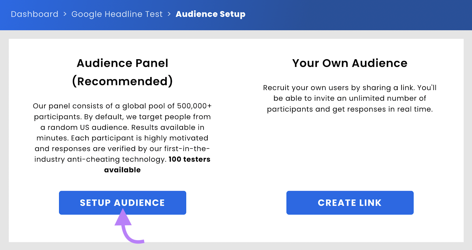 "Audience Setup" window in Headline Optimizer tool