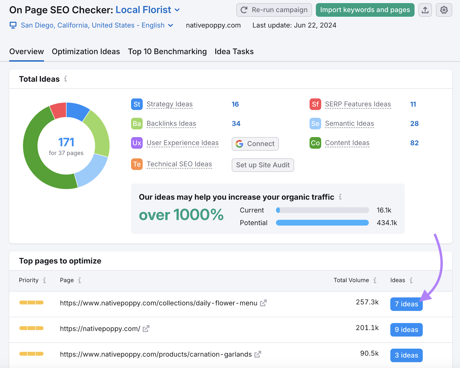 on page seo checker overview shows total ideas and top pages to optimize for local seo