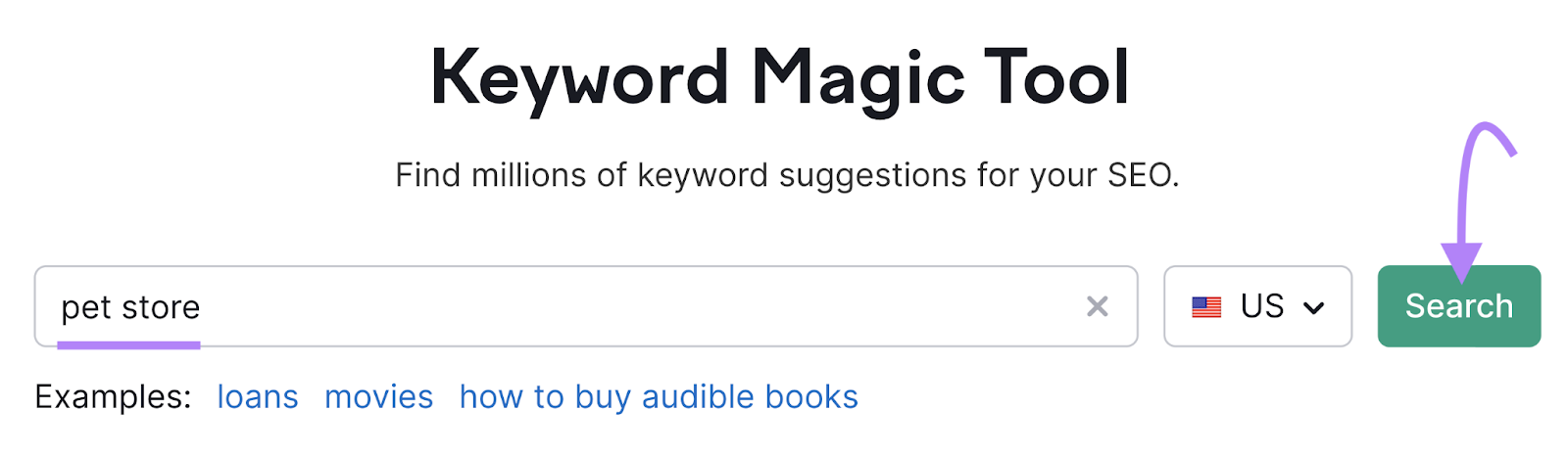 "pet store" entered into Keyword Magic tool search bar
