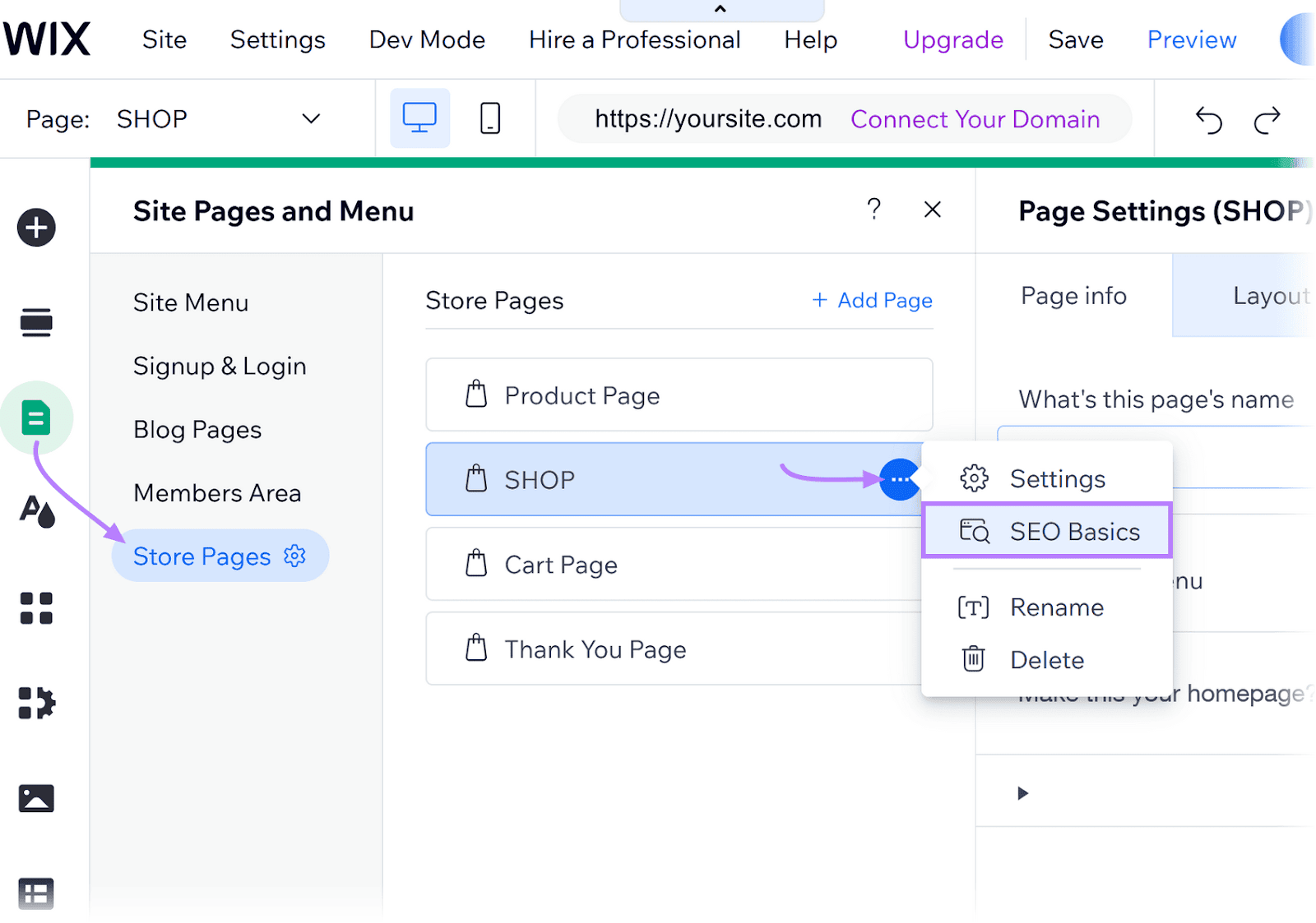 Canonical Tags & URLs: Canonicalization for SEO in 2024