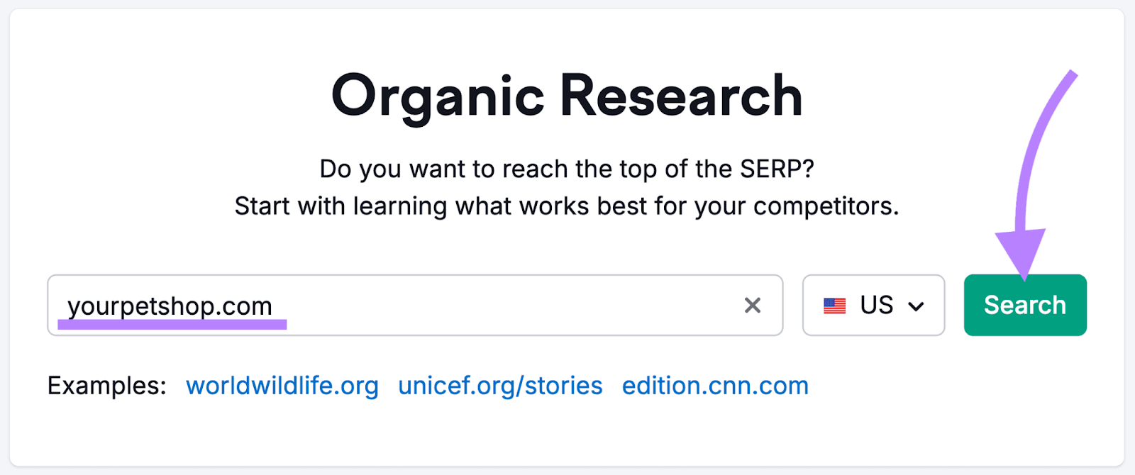 organic research tool's start page with "yourpetshop.com" in the search bar