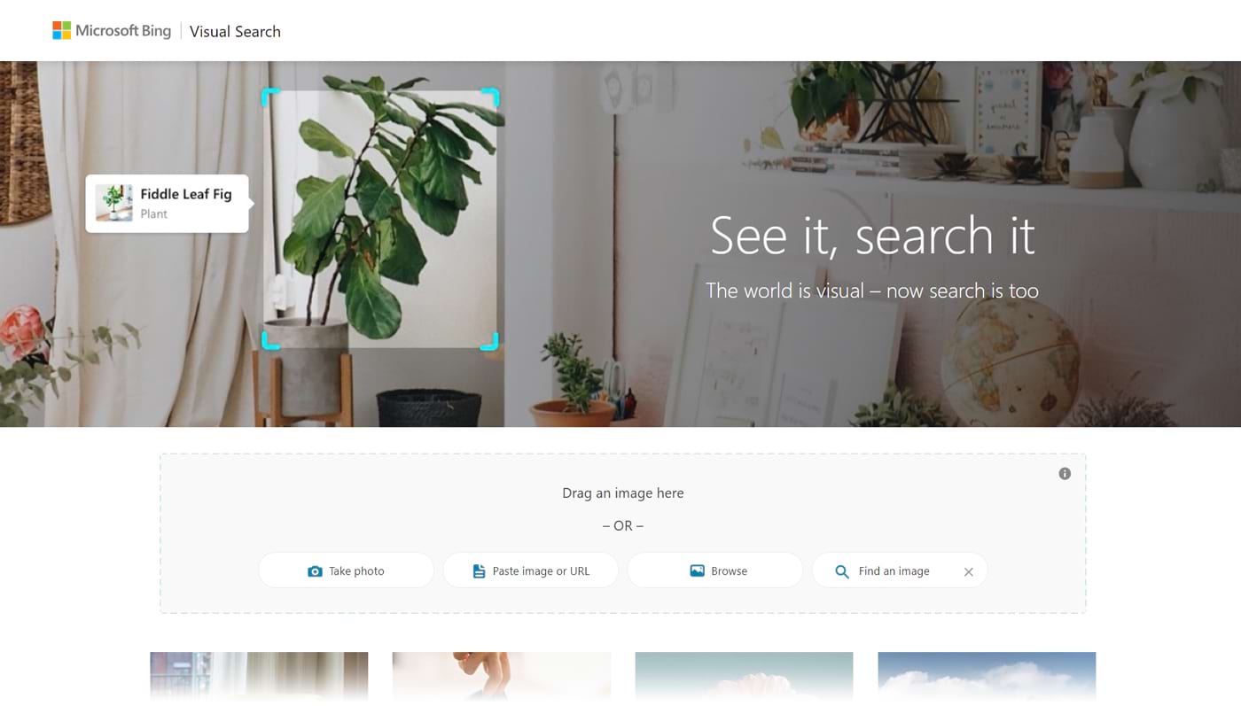 What Is Visual Search? Examples, Benefits, and Optimization Tips ...