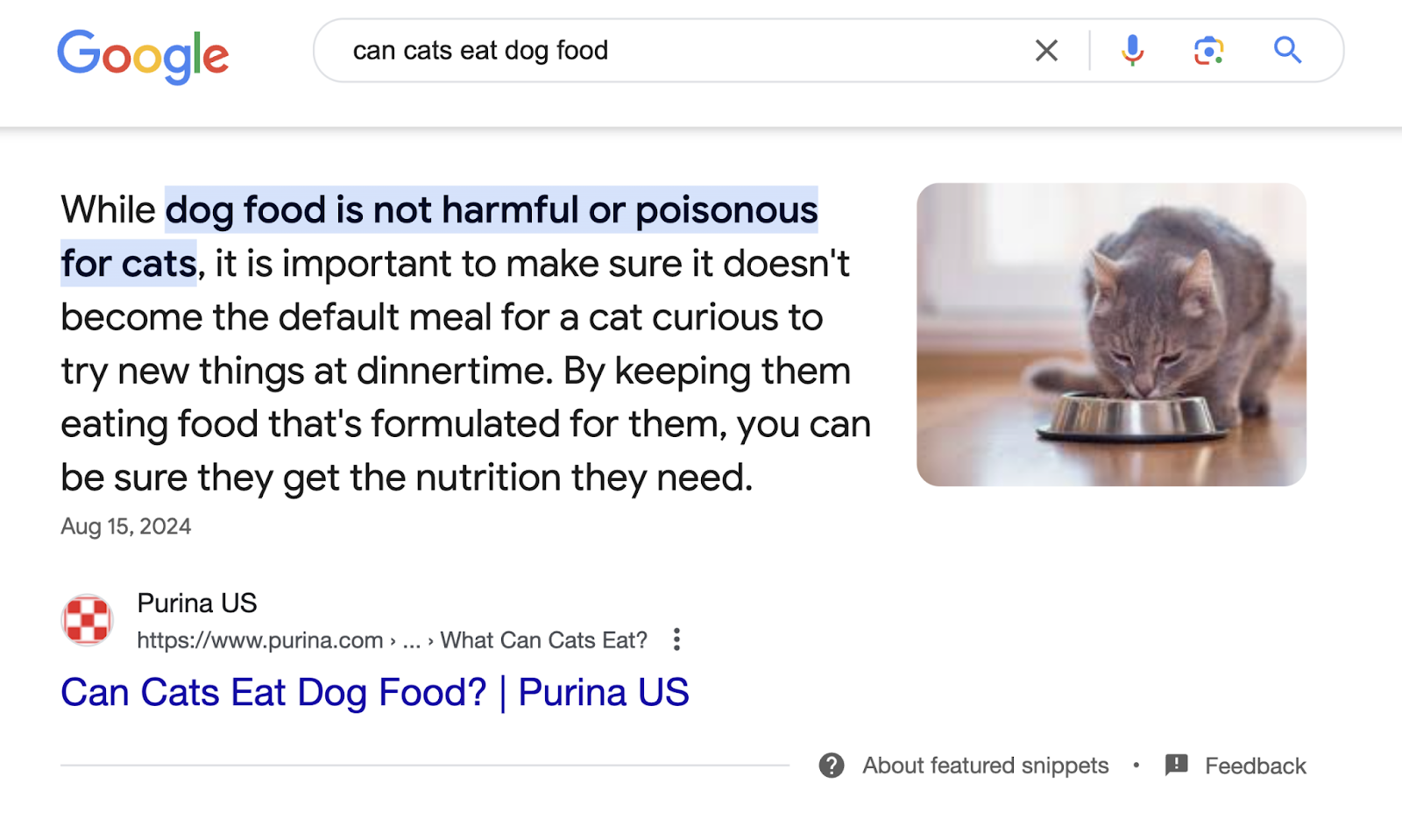 featured snippet appears at the top of the SERP and highlights the brief answer "dog food is not harmful or poisonous for cats"