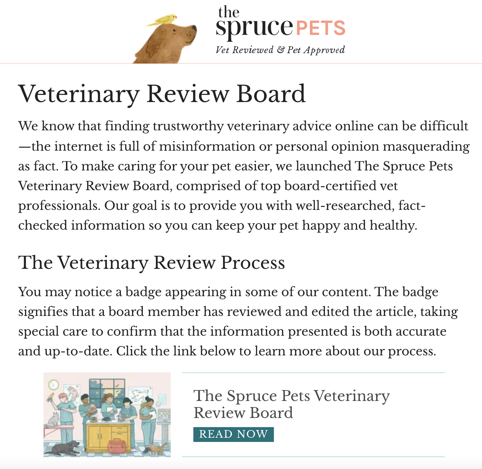 "The Spruce Pets" website