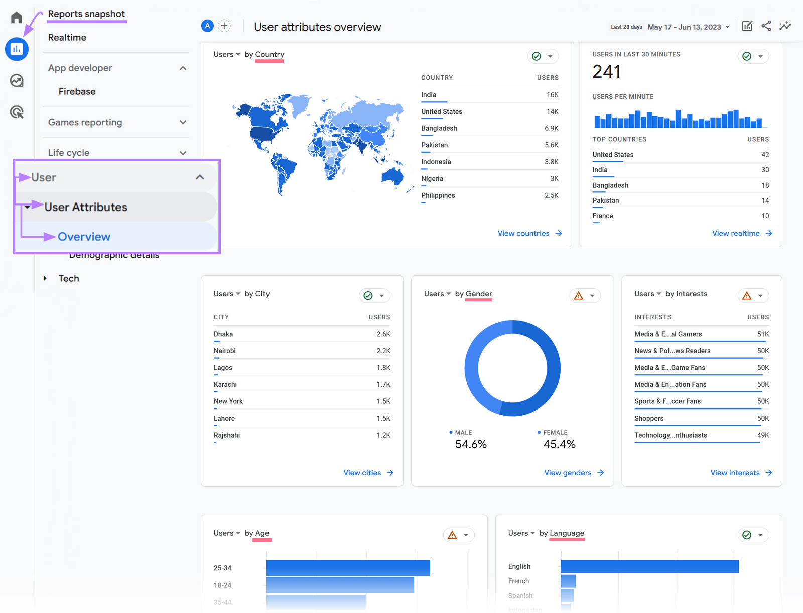 Google Analytics dashboard showing user attributes or audience data.