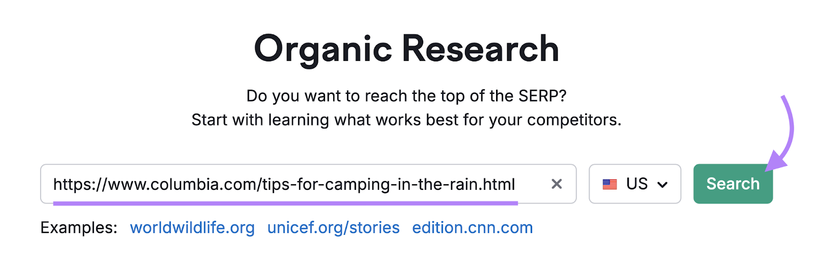 search for competitor url in Organic Research