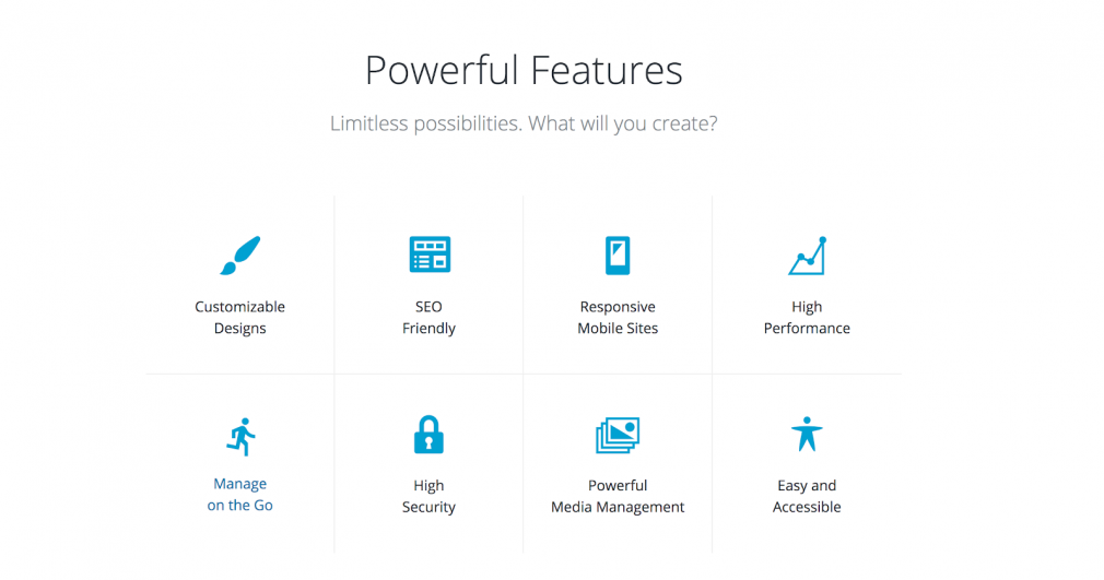 WordPress Features