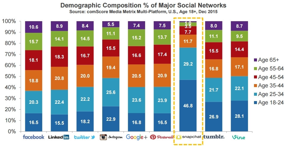 Demographic composition of major social networks