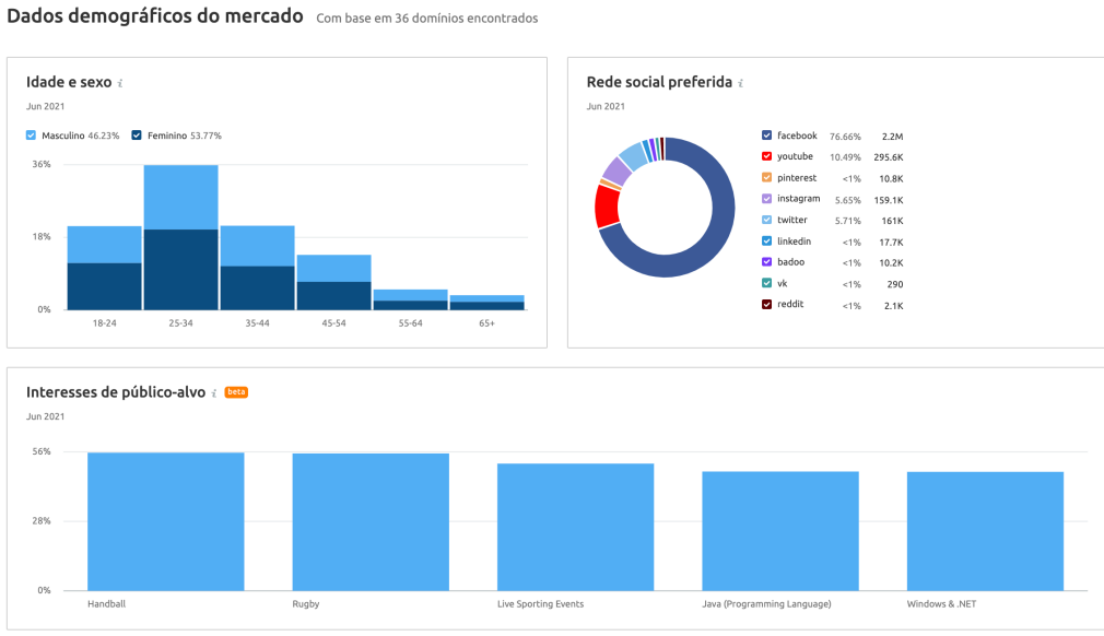 Dados demográficos Semrush Market Explorer
