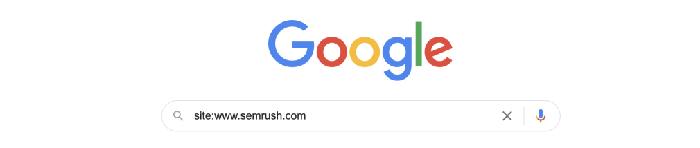 google site search