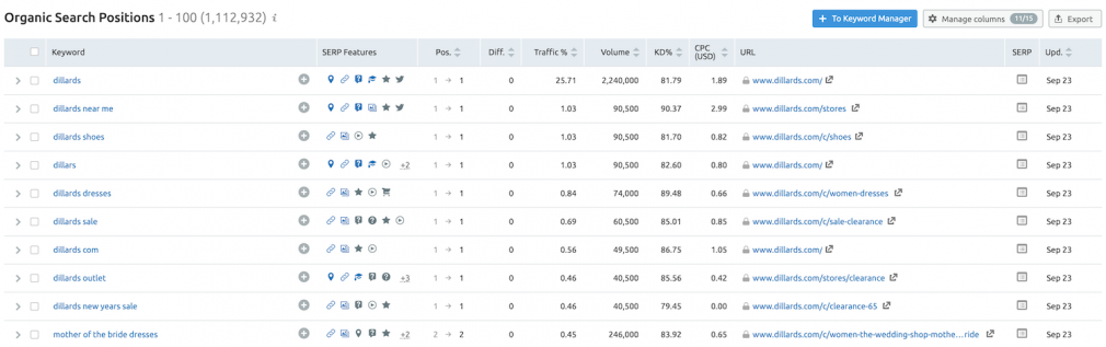 Search engine keyword rankings report