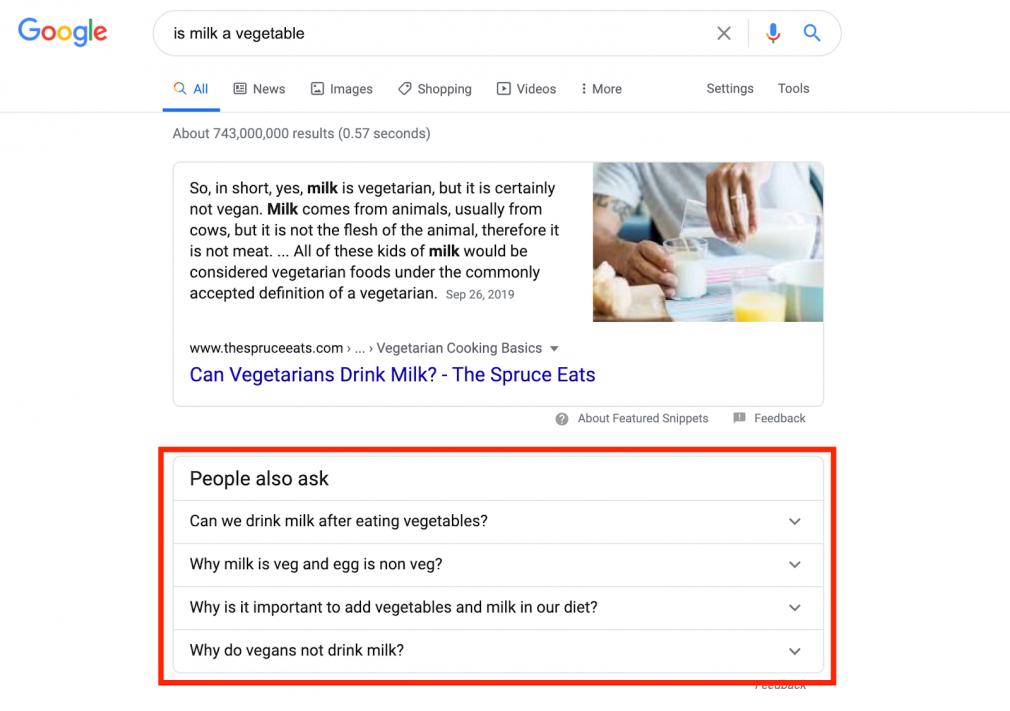People also ask SERP feature