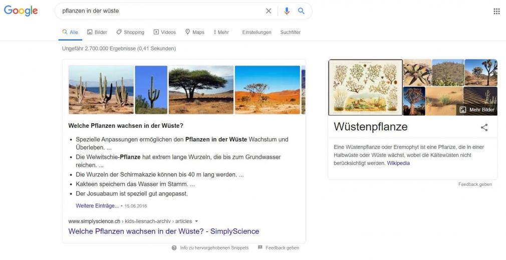 Screenshot: SERP mit Keyword