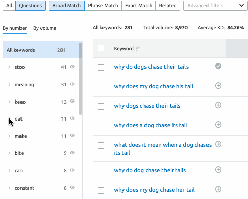 Keyword Magic Tool Long-tail research
