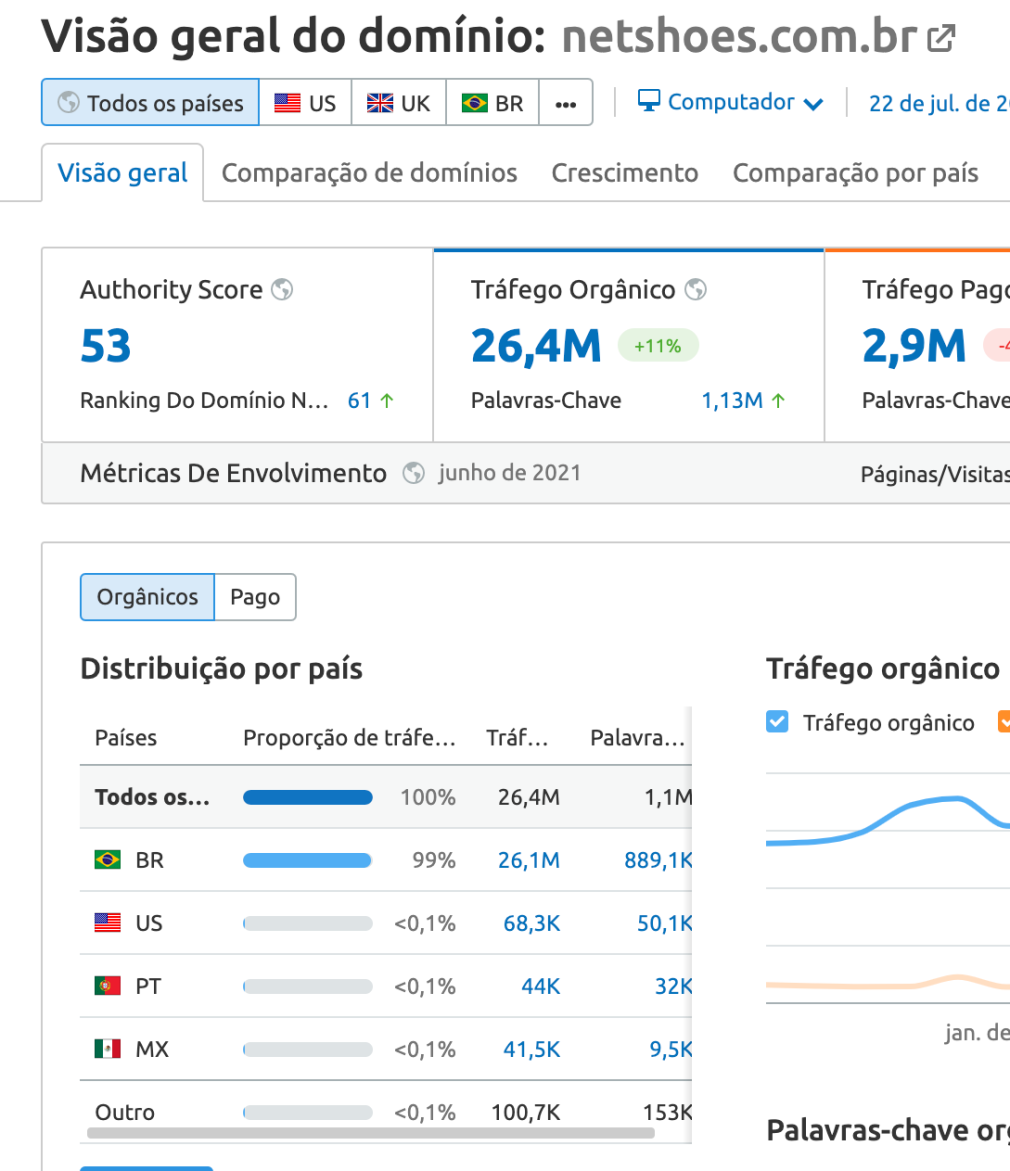 Netshoes.com.br Domain overview