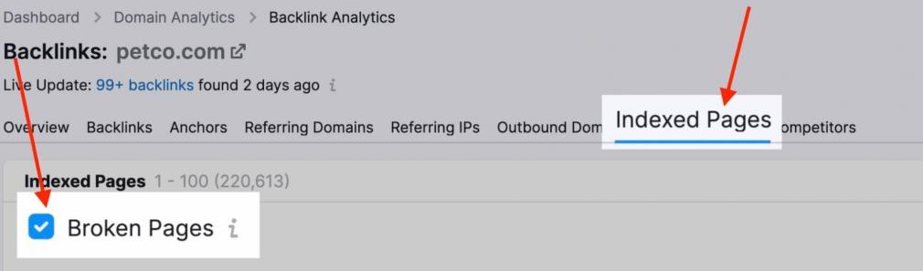 Broken Pages in Backlink Analytics