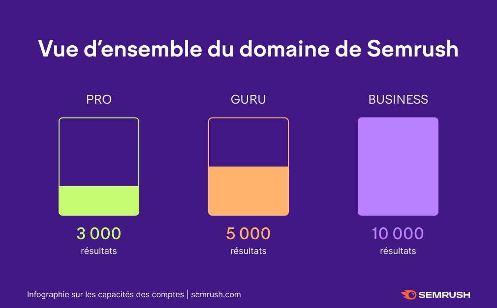 Semrush vue d'ensemble du domaine