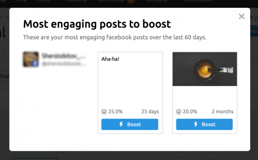 semrush for facebook