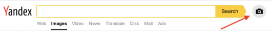 Yandex camera icon for search