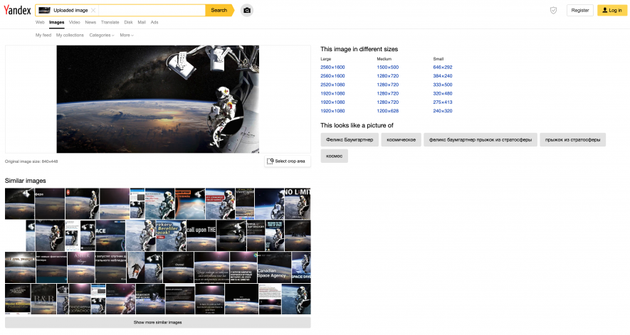 yandex reverse image results example