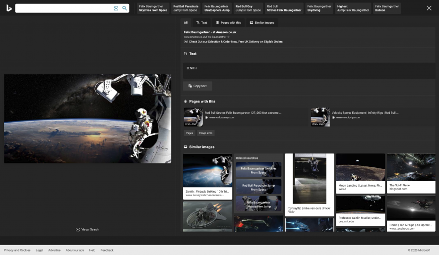 Bing reverse image search results screenshot