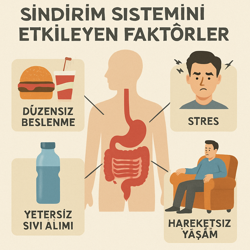 Sindirim sistemini etkileyen faktörler