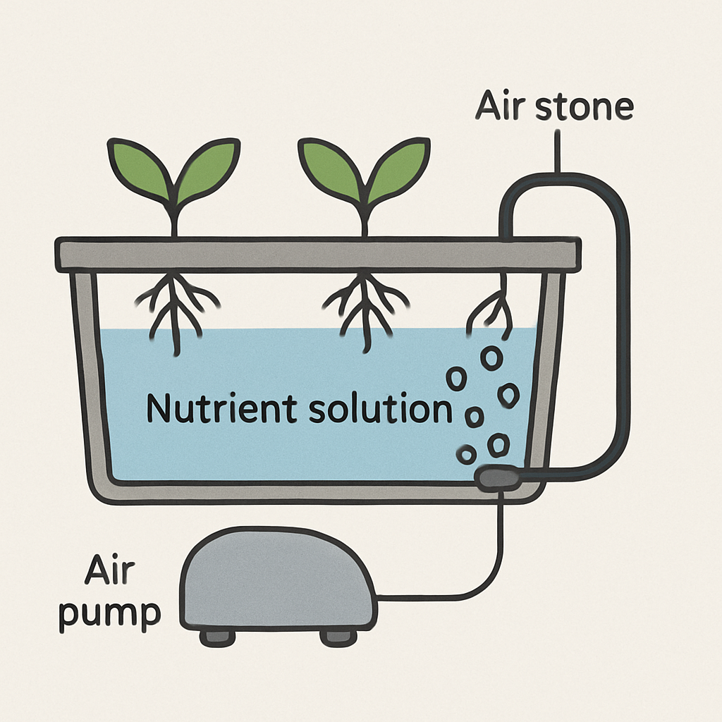 Pompe à air dans un système hydroponique