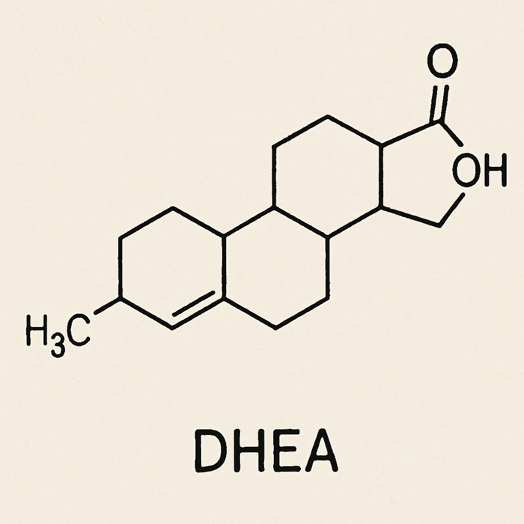 Chemical structure of DHEA