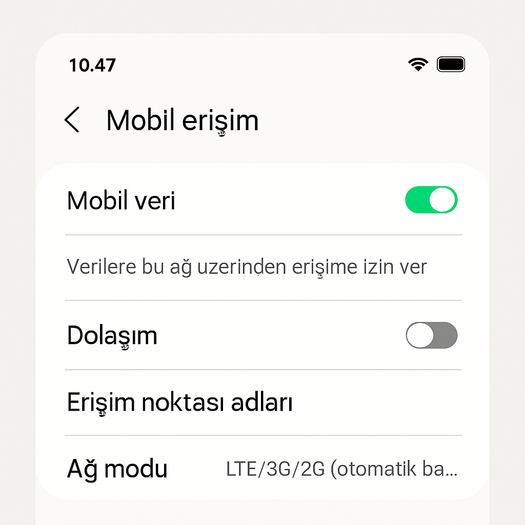 mobil erişim