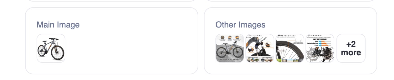 The image sections of the report are shown. There is a Main Image section and Other Images section. Each section in this example shows bicycle-related imagery. 
