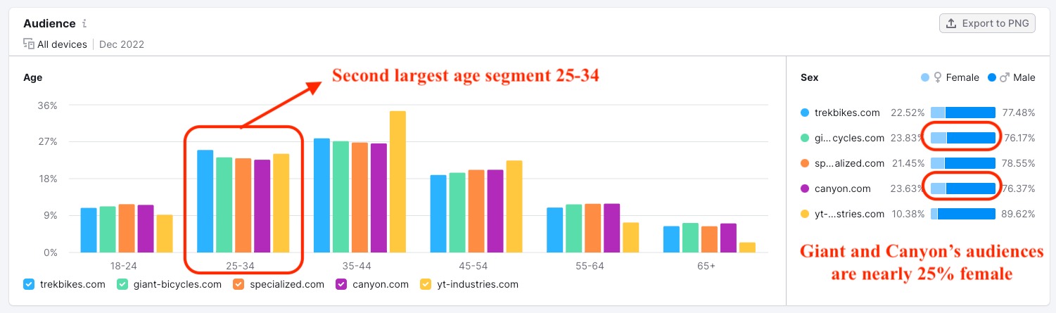 Segment 2 - analysis of audience demographics