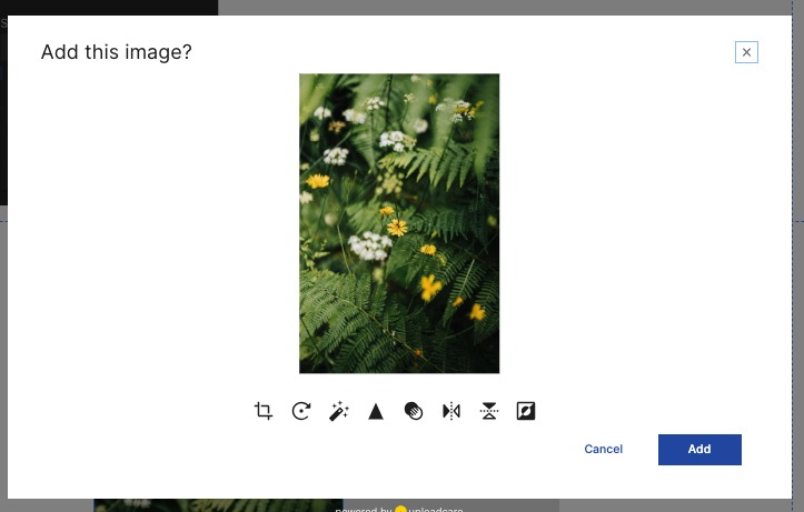 The image editor window. Edit options are along the bottom of the image.