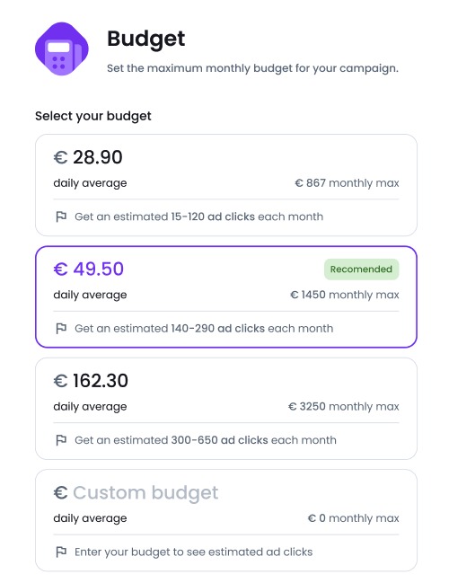 Budget setup comes last and offers some pre-built budget plans along with a possibility to make it fully customised.