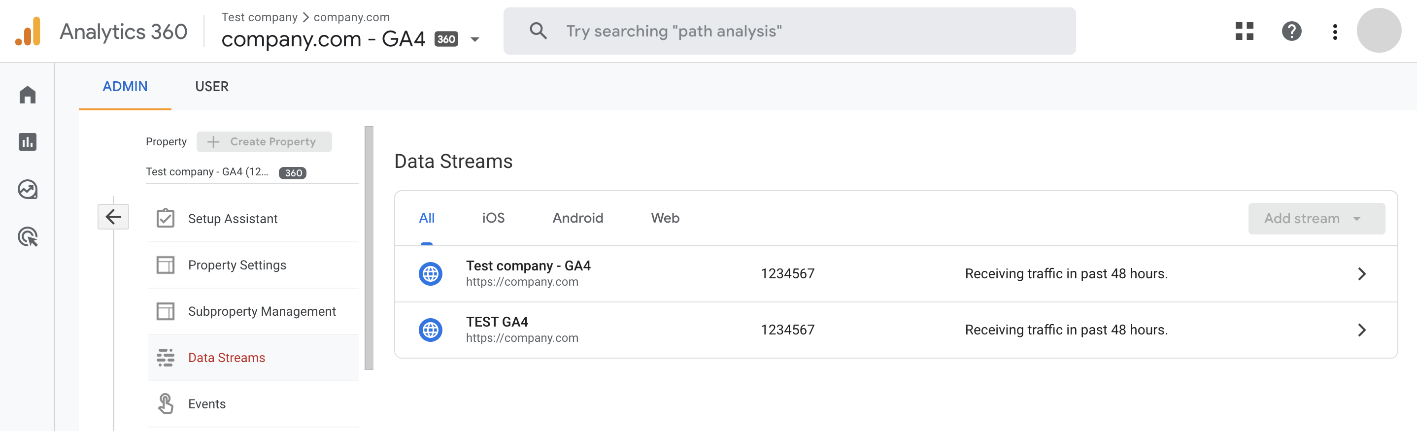 Example of what Data Streams menu looks like when opened. On the screenshot, two example data streams are located on the left side. Selecting one of those will open the data stream details, including the Website URL.