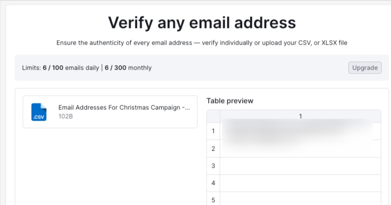 Once you drag your XLSX file or CSV, the interface generates a table preview to show how your email addresses will be checked. 