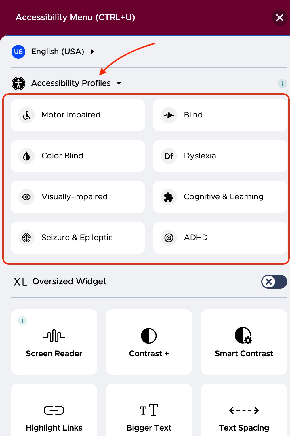 A demonstration of Accessibility Profiles feature in the widget interface.