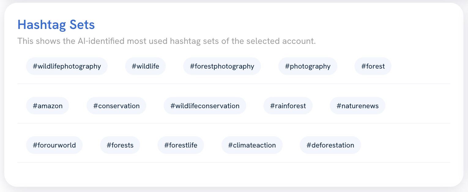 The Hashtag Sets widget showing AI-grouped hashtags targeted by the competitor brand.