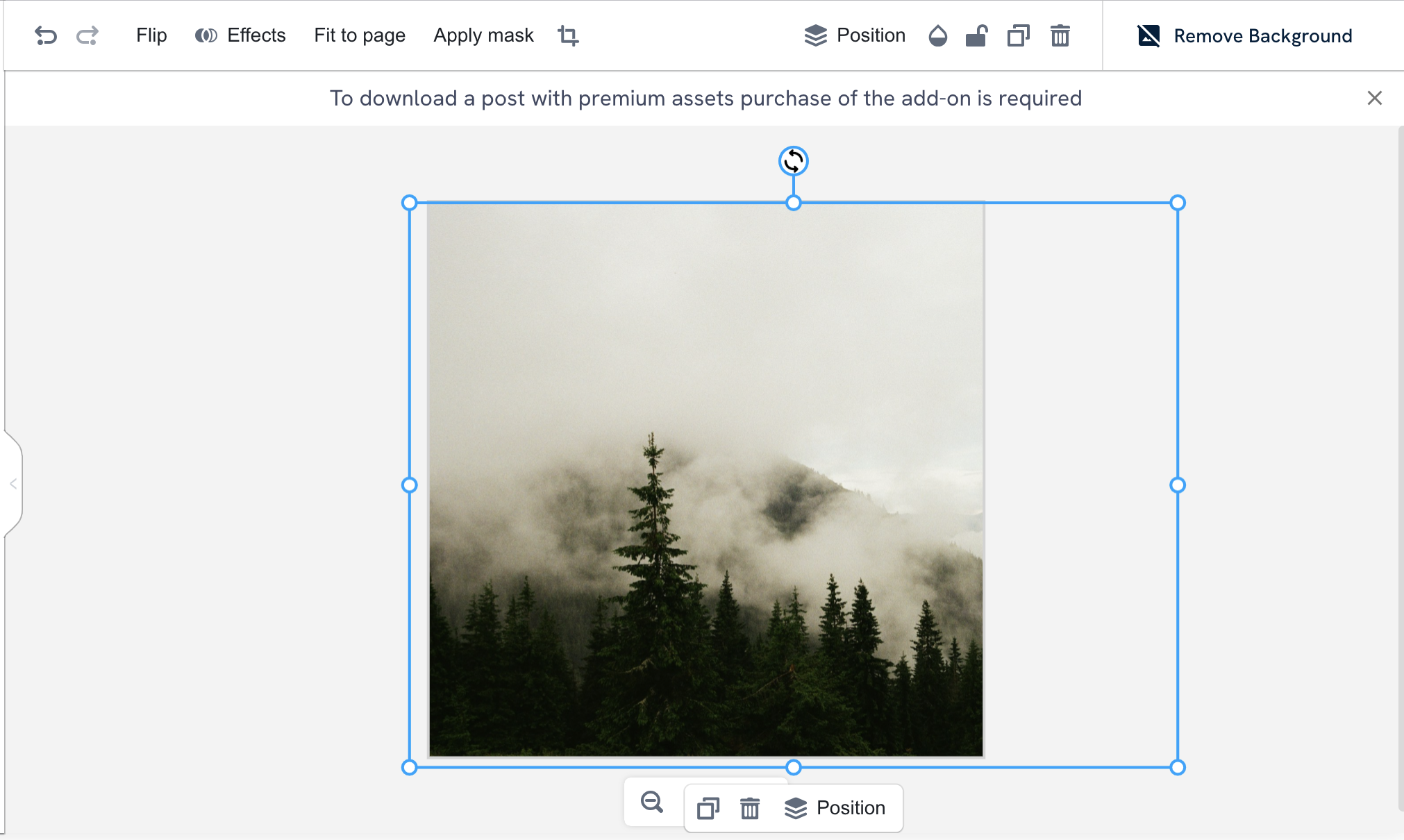 The image editing pane, where you can resize or reposition an image, or show all or part of it. The parts of the image not visible in the post are transparent.