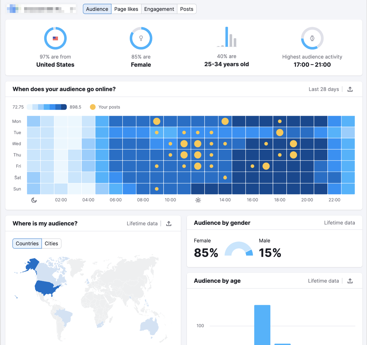 An example of the Audience Tab in the Facebook report in Social Analytics.